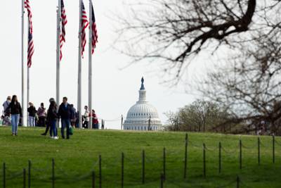 The U.S. Capitol Dome is seen beyond the grounds of the Washington Monument on March 17, 2024.