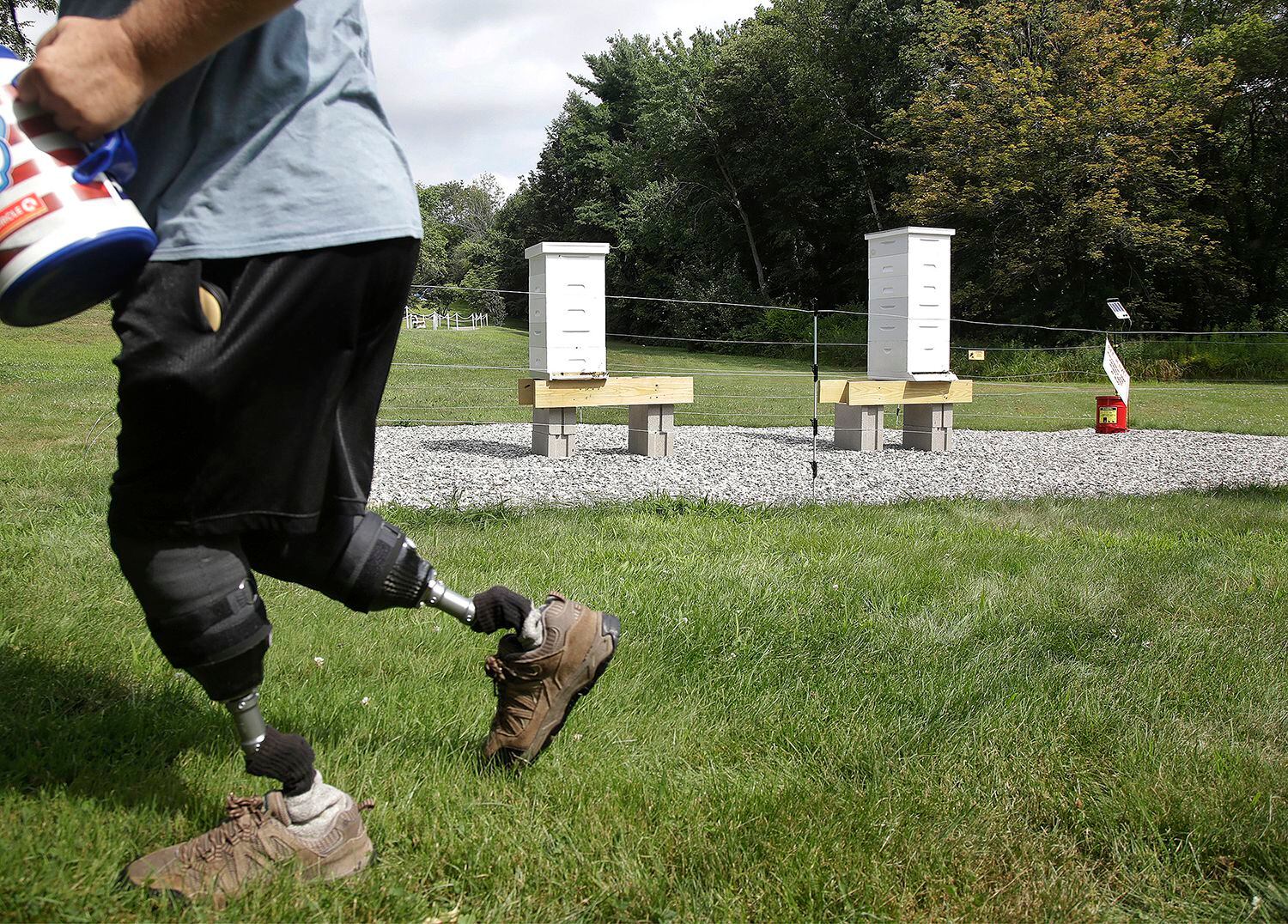 Veterans use beekeeping to improve well being - VA News