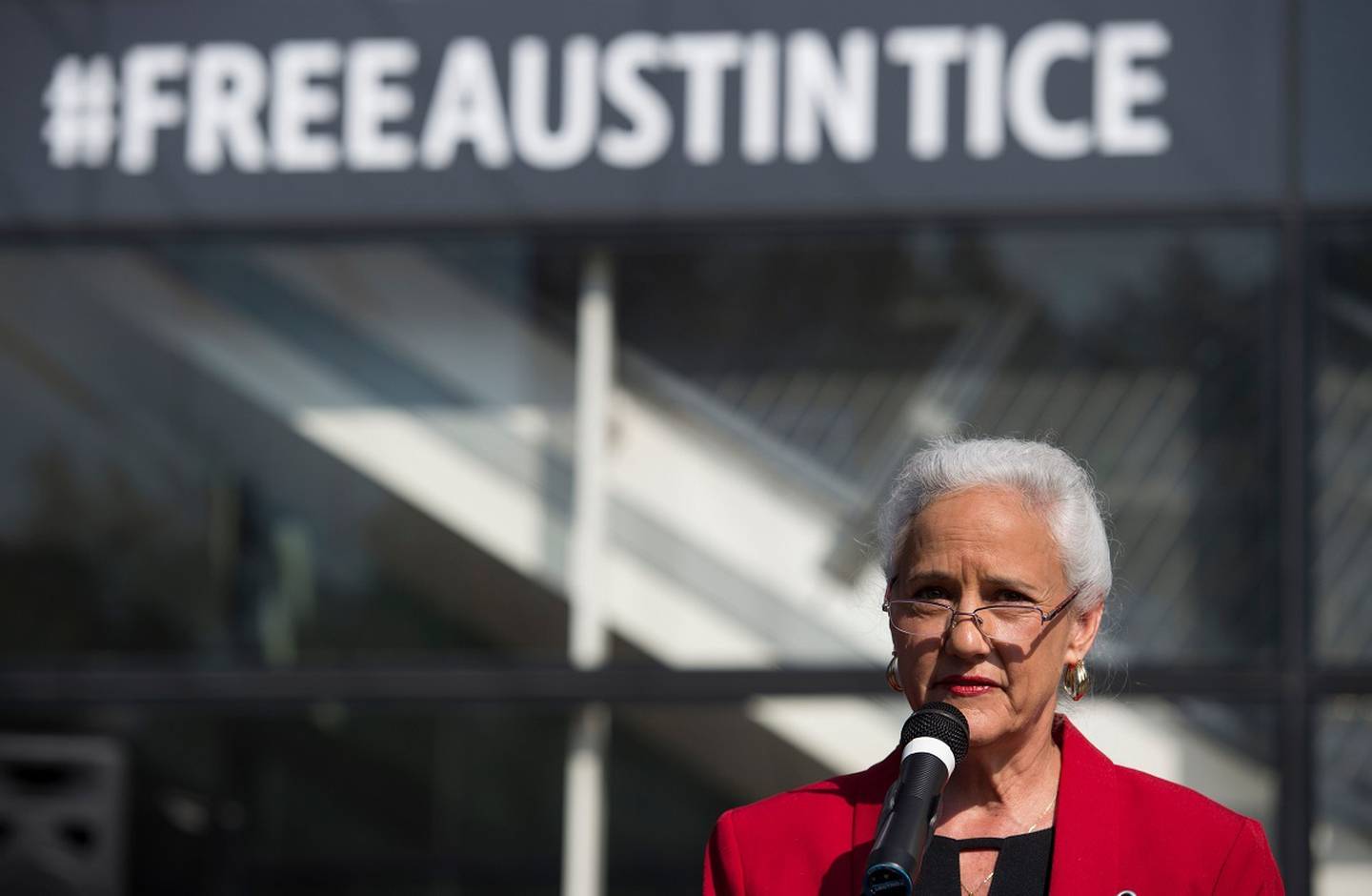 Debra Tice speaks about her son Austin Tice during the unveiling of a new banner calling for his release at the Newseum in Washington, DC on November 2, 2016.