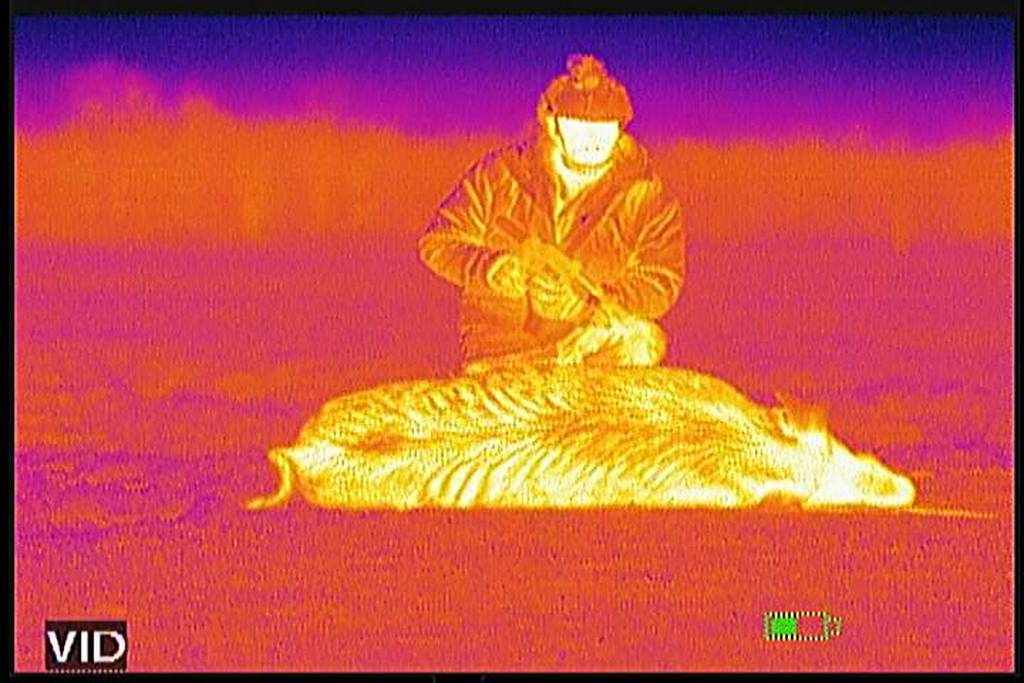 Gear test New thermal hunting optics are better, cheaper